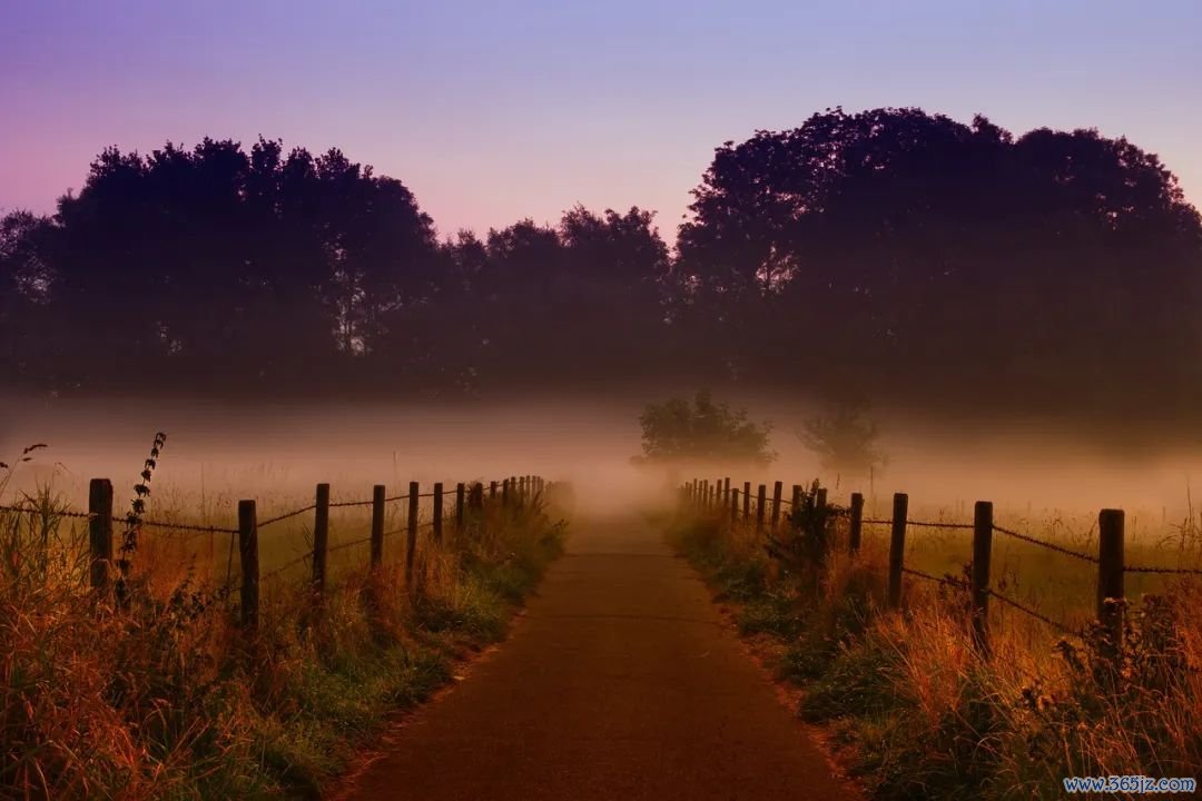 (图源:pixabay)