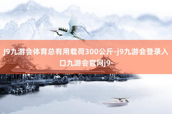 J9九游会体育总有用载荷300公斤-j9九游会登录入口九游会官网j9·